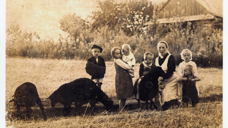 KONKURS „Bądź odważny, gdy rozum zawodzi”