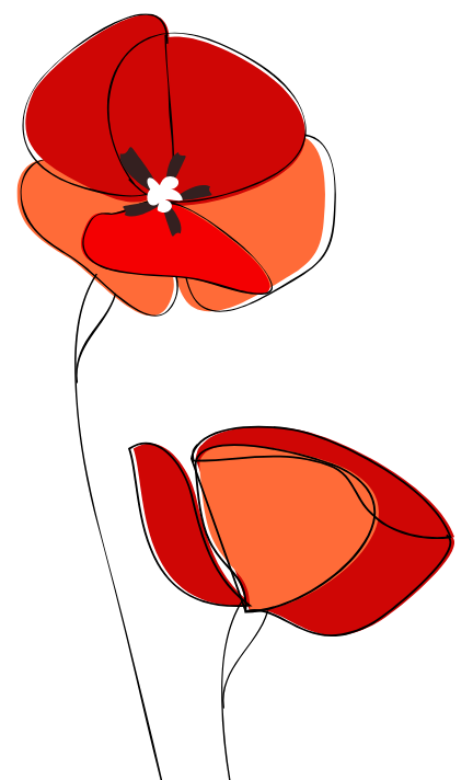 Wyniki IV Olimpiady Kulturowo – Językowej z Wiedzy o Polsce